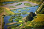 Arcata Marsh: 960x636